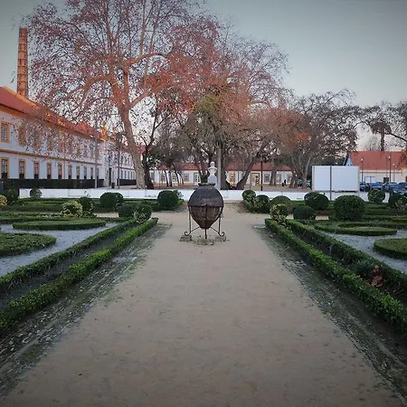 Recoleta Da Praia Velha Ílhavo